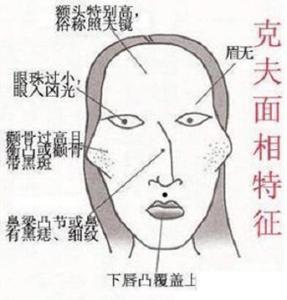 女人臉骨大的面相好不好,女人怎樣的臉型旺夫(圖文)