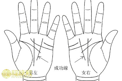 手相太陽線與財運：太陽線如何看財富(圖文)