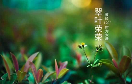 2019年大暑前一天搬家好不好,2019年大暑前后搬家吉日推薦！(圖文)