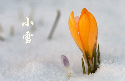 2019年農歷十月廿六日小雪節氣可以求嗣嗎？(圖文)