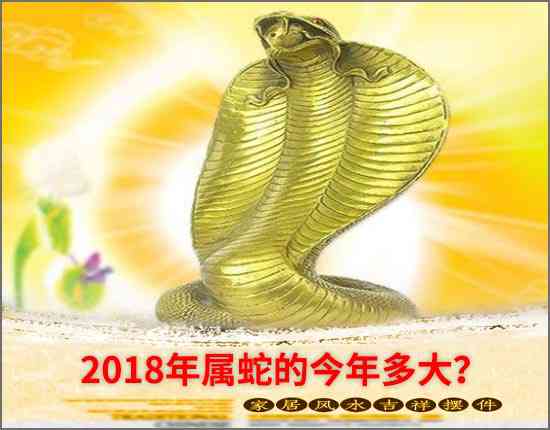 2018年屬蛇的今年多大