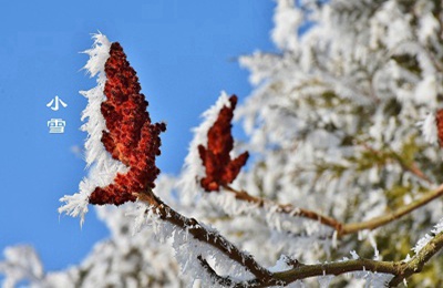 2019年農歷十月廿六日小雪節氣可以求嗣嗎？(圖文)