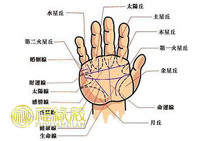 生命線圖解大全 從生命線解讀人生(圖文)