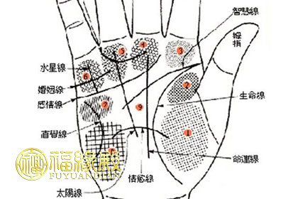 手掌紋路怎么看你知道嗎(圖文)