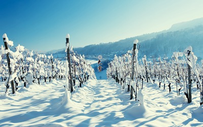 2019年冬月十一月十二大雪節氣是不是理發的黃道吉日？(圖文)