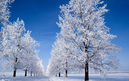 2019年陰歷十月廿六小雪搬家安床好嗎,小雪是第幾個節氣？(圖文)