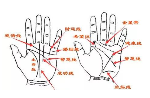 男人左手手相各種解析