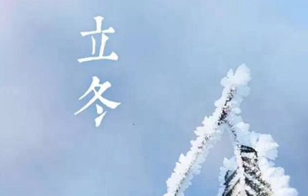 2019年立冬出生的豬寶寶命好嗎,天生旺父母貴人運好嗎？(圖文)