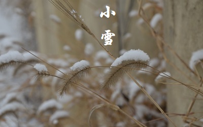 2019年十月廿六小雪節氣時辰吉兇一覽表(圖文)