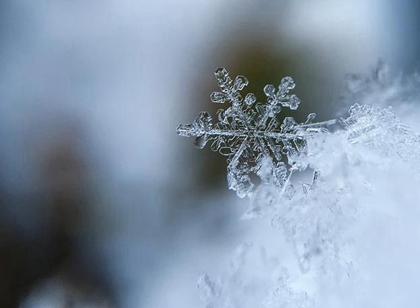 2019年大雪當天適合祭祀嗎,2019年大雪具體時辰多少？(圖文)