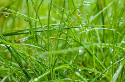 2020年雨水前一天訂婚好不好,雨水三候是什么意思？(圖文)