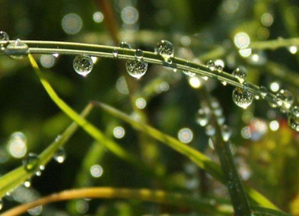 2020年雨水后一天（2月20日）訂婚吉利嗎,還有幾天雨水？(圖文)