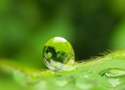 2020年雨水后一天（2月20日）訂婚吉利嗎,還有幾天雨水？(圖文)