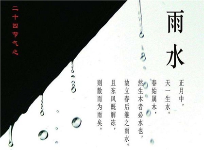 2020年雨水節氣可以提車嗎,雨水節氣回娘家送什么好？(圖文)