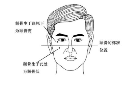  顴骨高的男人好嗎