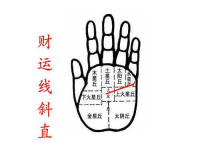 財(cái)運(yùn)線看你財(cái)運(yùn),你有沒有潛力成為有錢人呢?