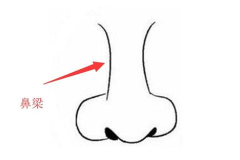 鼻子看相：五種富貴鼻型
