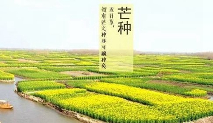 2020年芒種出生的鼠寶寶命運(yùn)好嗎,八字過弱命理嗎？