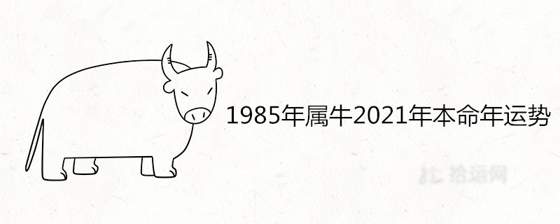 1985年屬牛2021年本命年運勢好不好