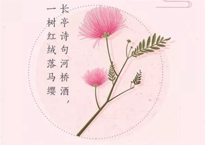 生肖兔在1975年芒種出生命局如何,芒種出生屬于什么星座