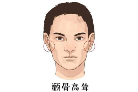 顴骨高的男人面相分析