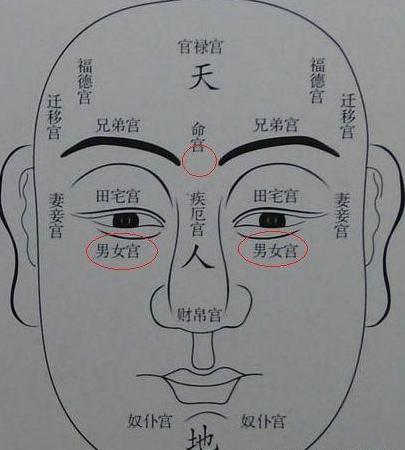 情侶八字測試_易奇八字合婚免費測試_八字官星測試