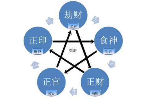 水木傷官格的大貴八字分析