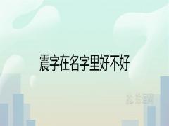 震字在名字里好不好有什么寓意