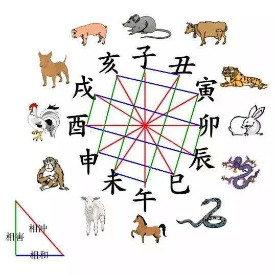 八字地支帶四酉