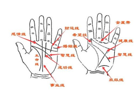 看手相算命是怎么回事？