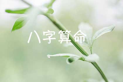 八字命格簡批