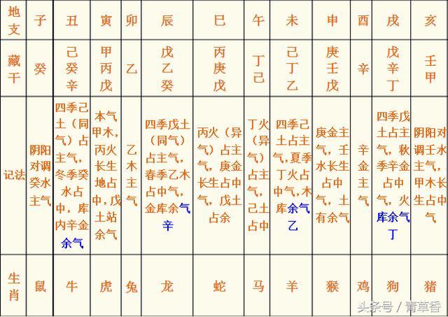 八字地支藏干作用_地支藏氣八字_八字地支藏干表