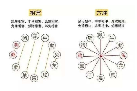 兩個屬相相生是什么意思？