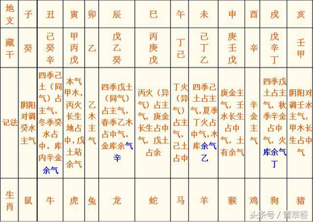 地支藏氣八字_八字地支藏干作用_八字地支藏干表