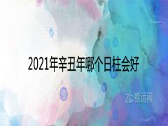 2021年辛丑年哪個日柱會好運必定發財的八字