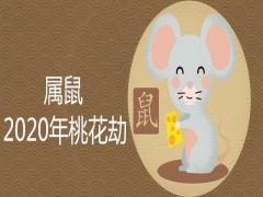 屬鼠2020年桃花劫影響大嗎