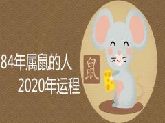 84年屬鼠的人2020年運程很不好嗎