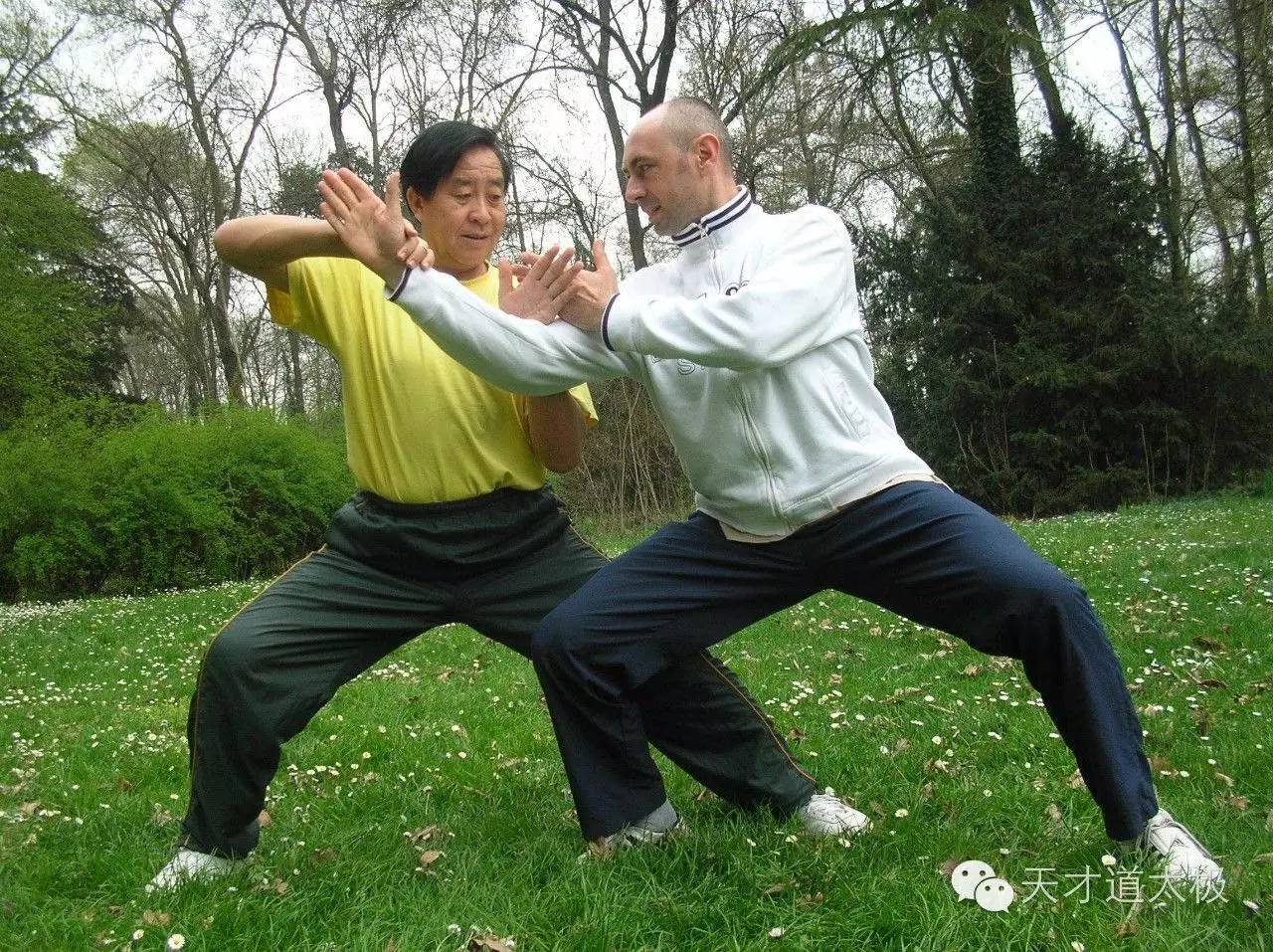 洪式太極極拳實用拳法_養生太極觀音拳_八字腳打太極拳