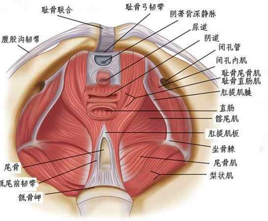 民間掐八字害人_八字年日相害_民間流傳邪術(shù)害人的奇書