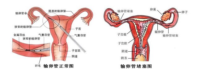 民間掐八字害人_八字年日相害_民間流傳邪術(shù)害人的奇書