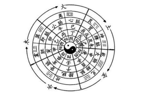 十二時辰對應五行屬性