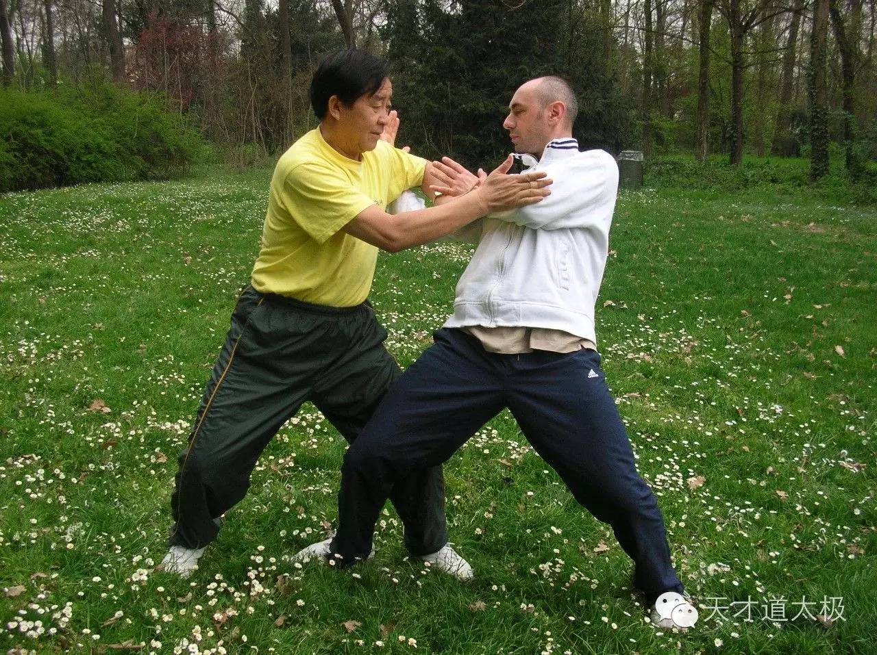 養生太極觀音拳_八字腳打太極拳_洪式太極極拳實用拳法