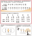 乙木篇（一）