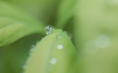 癸亥年太歲是哪一位，癸亥太歲虞程大將軍傳略