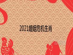 2021婚姻危機生肖容易離婚分手的屬相