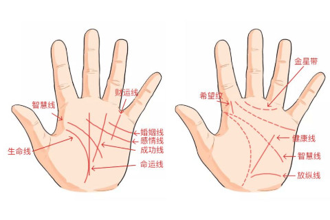 手掌上的婚姻線短有什么寓意？