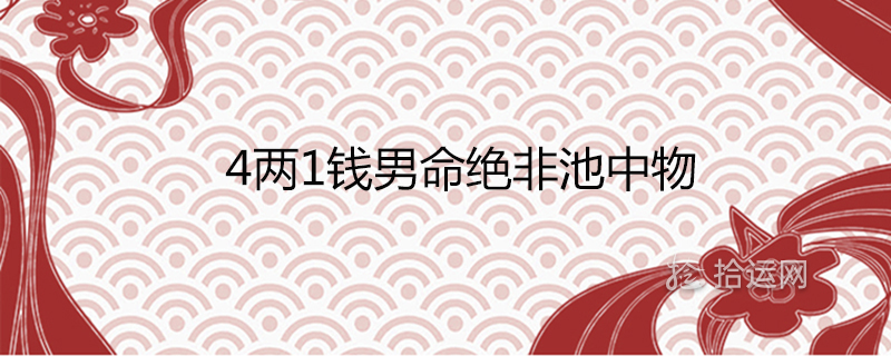 4兩1錢男命絕非池中物是真的嗎一生總結詳解