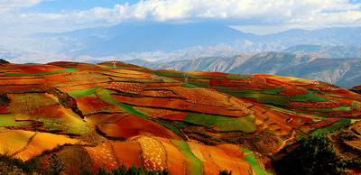 土命虎人住九層好嗎？適合住在什么樓層？