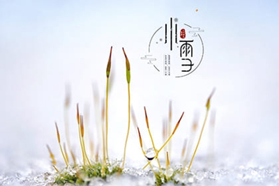 小雪出生最終命運如何?節氣當天出生怎么樣