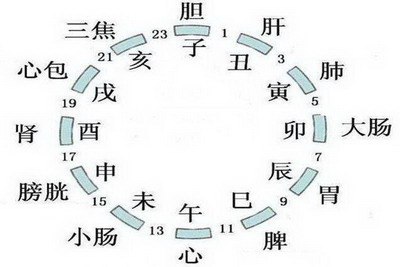 黃帝內經十二時辰養生法對照表詳細，時間表